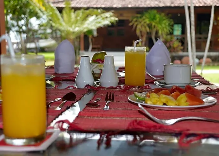 Bagus Lovina Hotel