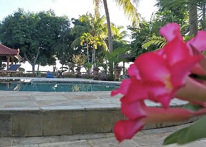 Bagus Lovina Hotel 3*