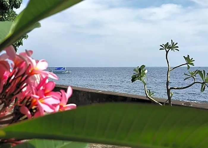 Bagus Lovina 3* BALI